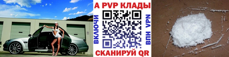 APVP СК  даркнет телеграм  Высоцк 