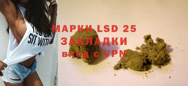 PSILOCYBIN Белокуриха
