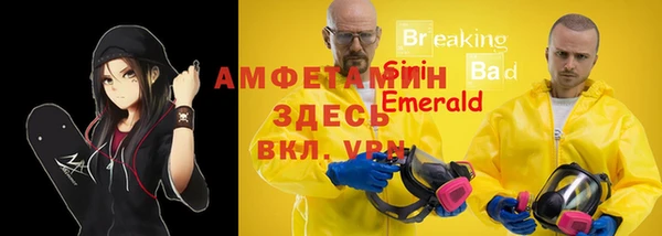 первитин Богданович