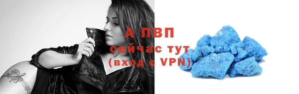 PSILOCYBIN Белокуриха