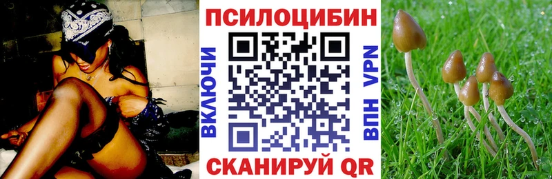 Галлюциногенные грибы Psilocybine cubensis Высоцк